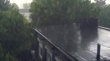 Kırsal bölgede, bulutlu gökyüzüne karşı büyüyen yeşil ağaçlar fırtınalı bir yaz gününde şiddetli rüzgarda bükülüyorlar.