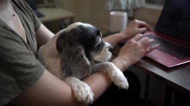Bilgisayarda uzaktan çalışan, elinde şirin bir köpekle sandalyede oturan tanınamaz hale gelmiş kadın çalışanın yan görüntüsü