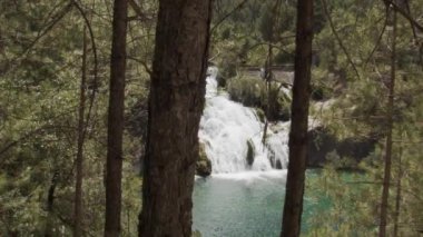 Şelalenin görkemli manzarası ve yüksek yeşil ağaçları olan dağlık ormanda nehir.