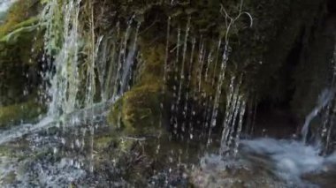 Güneşli bir günde yeşil yosunlu ormandaki temiz şelale manzarasını terk et.
