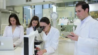 Modern laboratuarda birlikte araştırma yaparken mikroskop ve laptop kullanan bir grup profesyonel kadın bilim adamı.