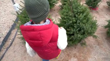 Yeşil yün şapkalı, kırmızı yelekli, beyaz kazaklı, mavi pantolonlu ve sarı çizmeli güzel sarışın çocuk Noel ağacını seçiyor.