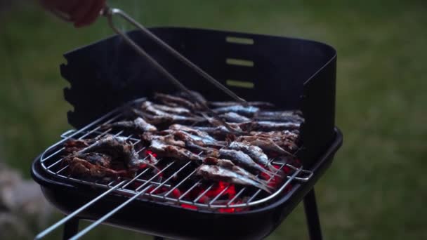 Cropped Unrecognizable Person Grilling Delicious Sardines Metal Grid Green Garden — Stock Video