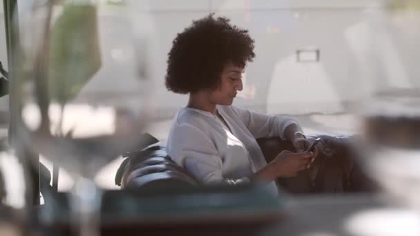 Side view of optimistic African American female sitting in armchair and chatting on social media with friend while laughing and having fun — Stock Footage Side View Optimistic African American Female Sitting Armchair Chatting Social Stock Footage