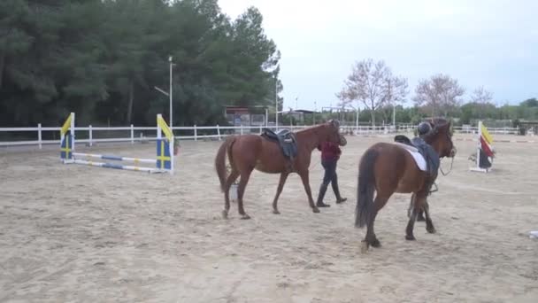 Teen Girls Jockey Helmet Leading Horses While Walking Sandy Ground — Vídeos de Stock
