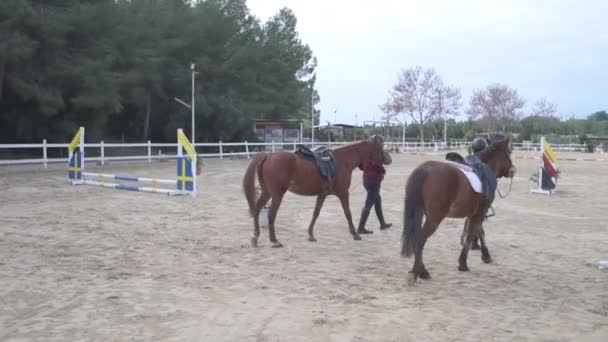 Teen Ragazze Fantino Casco Leader Cavalli Mentre Camminano Terreno Sabbioso — Video Stock