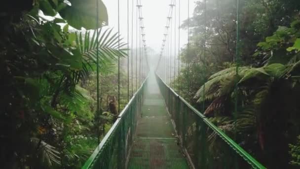 Salida Puente Metal Selva — Vídeos de Stock