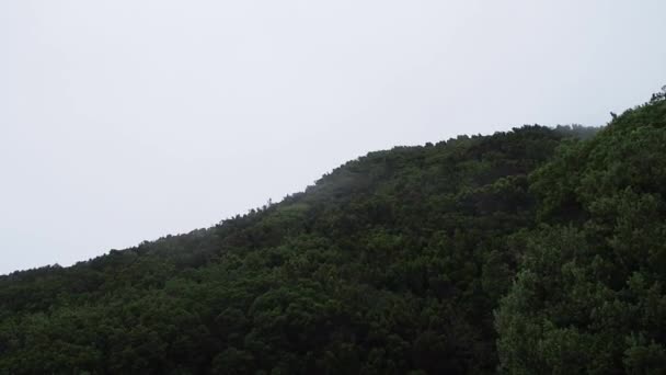 Picturesque Aerial View Winding Mountain Road Clouds Foggy Windy Day — Vídeo de Stock