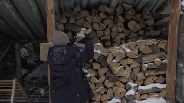 Młoda Kobieta Ciepłych Ubraniach Układa Drewno Opał Szopie Podczas Opadów — Wideo stockowe