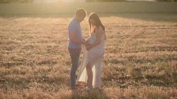 田舎の日没の間に乾燥したフィールドでお互いを見て立っている間 男の側のビューは優しく妊娠中の女性の腹に触れる — ストック動画