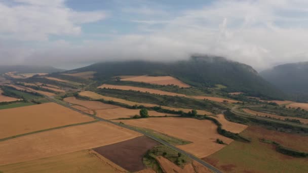 Din Vedere Spectaculoasă Plantațiilor Dintre Drumurile Înguste Din Apropierea Munților — Videoclip de stoc