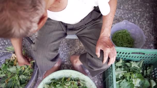 Cima Cultivado Agricultor Masculino Irreconhecível Tirando Cesta Planta Verde Fresca — Vídeo de Stock