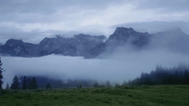 Paysage Panoramique Champs Verdoyants Forêts Couvertes Épais Brouillard Par Temps — Video