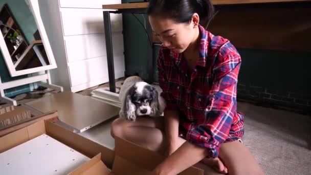 Mutlu Asyalı Kadın Yeni Apartman Dairesinde Yumuşacık Köpeğiyle Oturmuş Mobilyaları — Stok video