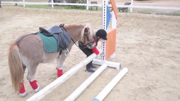 Barn Hjälm Står Nära Sadlad Ponny Och Montera Hinder Hoppträning — Stockvideo