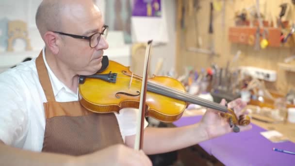 Side View Mature Male Artisan Luthier Testing Violin Restoration Workshop — Vídeo de stock