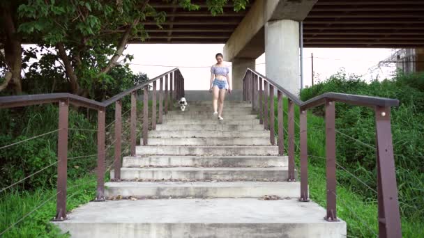 Mulher Asiática Feliz Desgaste Casual Descendo Escadas Com American Cocker — Vídeo de Stock