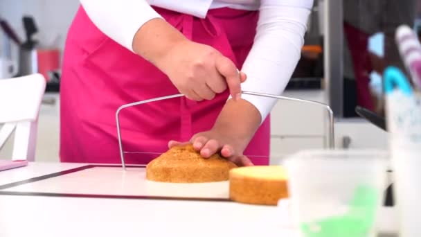 Crop Unrecognizable Female Professional Equipment Cutting Fresh Baked Cake Parts — Stock Video