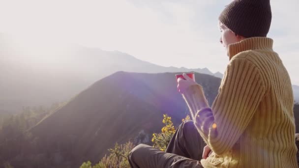 Vue Arrière Randonneur Assis Sur Pierre Observant Des Paysages Étonnants — Video