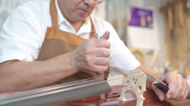 Crop Craftsman Setting Sound Post While Building String Instrument Workshop — Video Stock