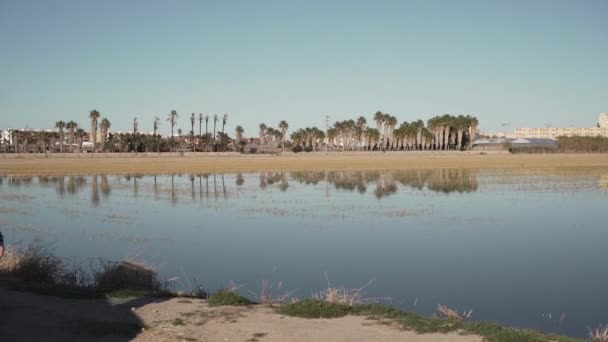 Long Haired Man Walking Lake — Stock Video