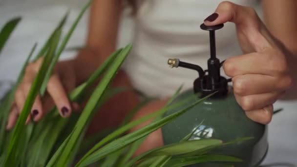 Cropped Unrecognizable Woman Pouring Water Green Plants While Sitting Comfortable — Vídeo de Stock