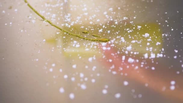 Closeup Slow Motion Green Olive Oil Being Poured Metal Surface — 비디오