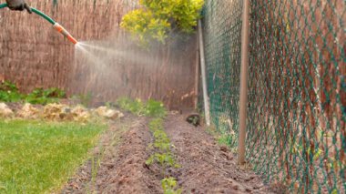 Bahçede bitki sulayan erkek bahçıvan.