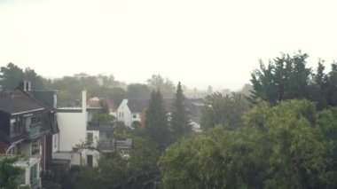 Kırsal bölgede, bulutlu gökyüzüne karşı büyüyen yeşil ağaçlar fırtınalı bir yaz gününde şiddetli rüzgarda bükülüyorlar.