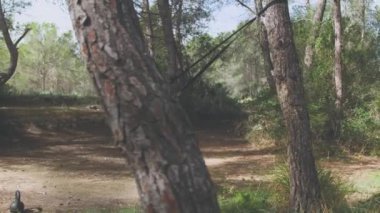 Aktif kıyafetli genç bir kadının yan görüntüsü TRX spor kemerleriyle göğüs kaslarını ve kollarını çalıştırıyor.