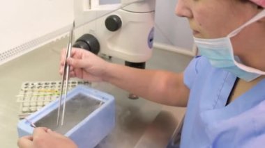 Yüz maskeli anonim doktor modern üreme kliniğinde dondurulmuş yumurtayla birlikte kriyojenik kutu üzerinde çalışıyor.