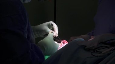Tanımlanamayan koruyucu eldivenli bir cerrah hastanedeki burun ameliyatı sırasında anonim bir hastanın burnuna dikiş atıyor.