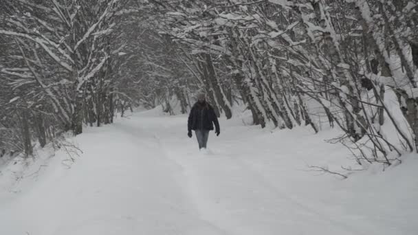 冬の森の中で自由な時間を過ごしている間 凍った葉の木の間に雪の厚い層で覆われた歩道を歩く暖かい服の完全な長さの正の男性 — ストック動画