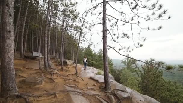 Повний Задній Вид Нерозпізнаної Жінки Наркоманки Ходить Скелястими Гірськими Схилами — стокове відео