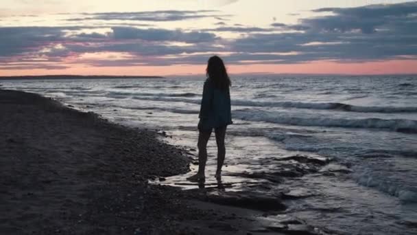 Vista Posteriore Viaggiatore Femminile Anonimo Piedi Acqua Sullo Sfondo Incredibile — Video Stock