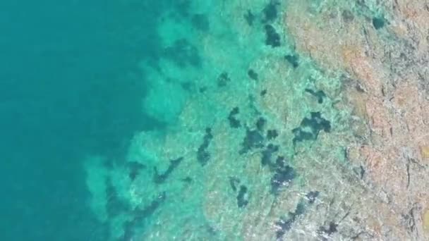 有搁板的清洁海水 — 图库视频影像