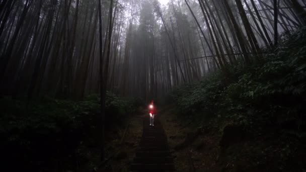 Пішохід Ліхтариком Йде Сходах Ведуть Через Густі Туманні Ліси Похмуру — стокове відео