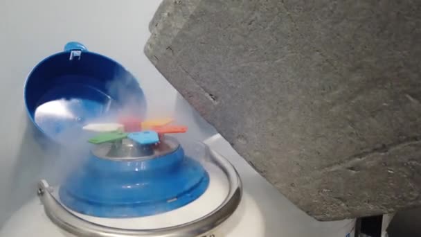 Éclaboussures Azote Liquide Provenant Réservoir Cryogénique Contenant Des Ovules Congelés — Video