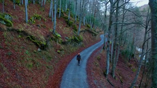 Drone Kilátás Felismerhetetlen Személy Explorer Meleg Ruhás Séta Utat Erdőben — Stock videók