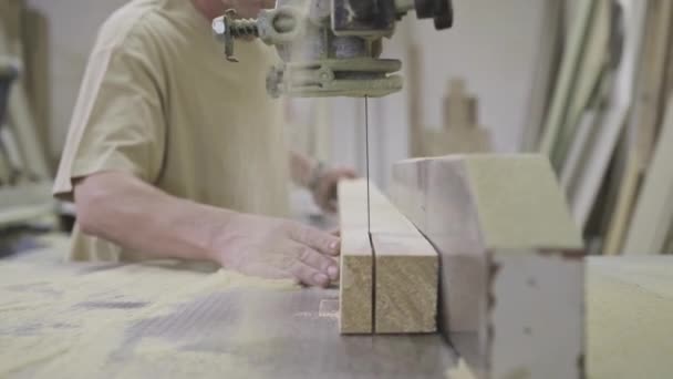 轻型当代车间用电动裁剪机在制作细木工时测量和锯木的眼镜和休闲装的木工大师 — 图库视频影像