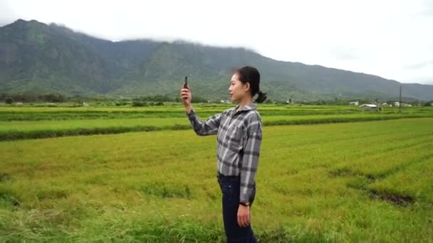 Oldalnézet Ázsiai Fotózás Zöld Rizs Mező Miközben Pihentető Hétvégén Nyáron — Stock videók