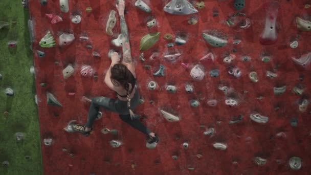 强壮健康的女运动员纹身 有权势的女人爬上五颜六色的墙 房间里有登山者用的高架 — 图库视频影像