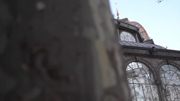Ancien Château Géométrique Avec Fenêtres Verre Reflétant Les Arbres Palacio — Video