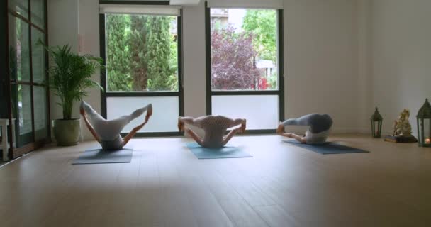 Adaptez Les Athlètes Féminines Aux Tenues Sportives Pratiquant Yoga Studio — Video