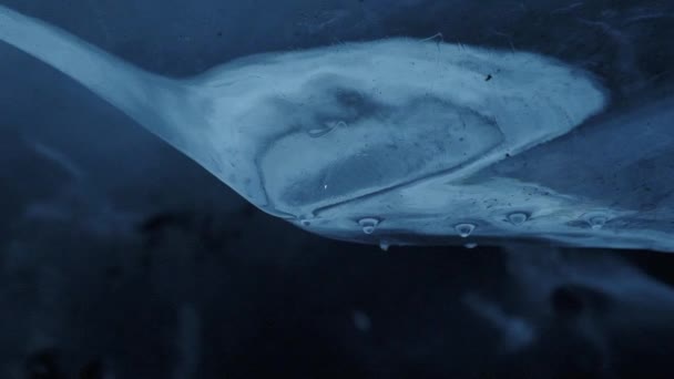 冰冻洞穴中的冰融化 — 图库视频影像