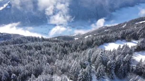 在阳光灿烂的冬日 空中俯瞰着漂浮在雪山斜坡上茂密的针叶林上的白云 令人叹为观止 — 图库视频影像