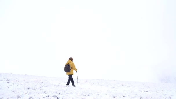 Bakåt Bild Anonym Vandrare Med Vandringstavar Promenader Snöig Mark Pyrenéerna — Stockvideo