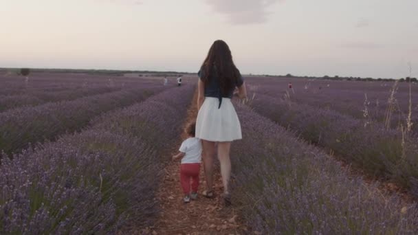 Vue Arrière Une Mère Aimante Méconnaissable Tenant Main Enfant Tout — Video