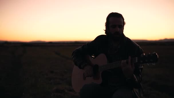 Man Spelar Gitarr Äng — Stockvideo