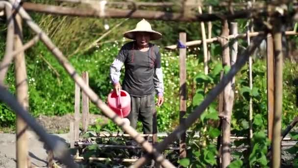 Азиатский Мужчина Средних Лет Традиционной Восточной Соломенной Шляпе Смотрит Камеру — стоковое видео